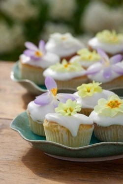 Primrose lemon curd cupcakes