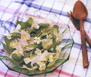 Primrose salad