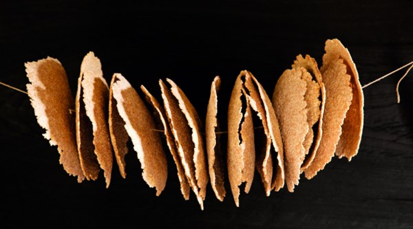Protohistoric multigrain flatbread