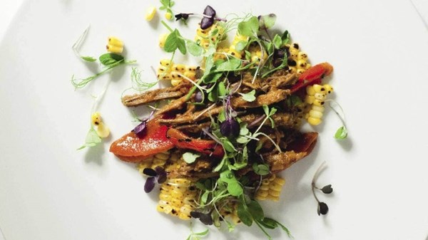Pulled brisket with grilled corn and charred capsicum salad