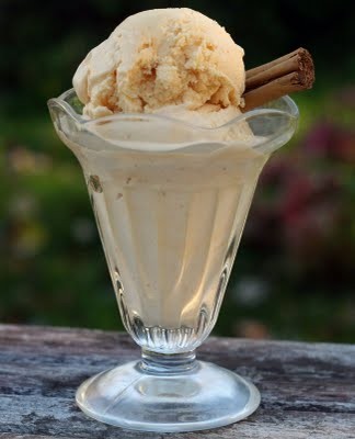 Pumpkin & cinnamon ice cream