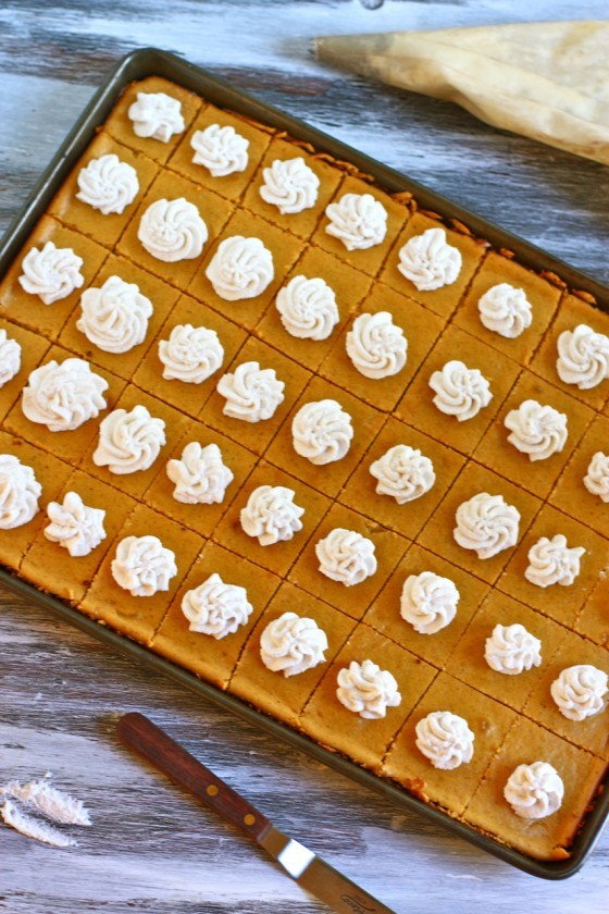 Pumpkin cheesecake bites