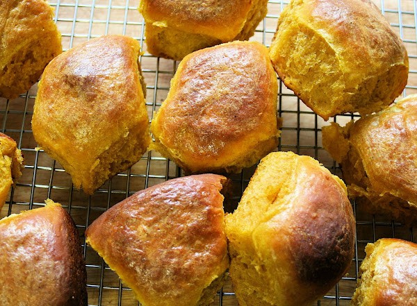 Pumpkin dinner rolls