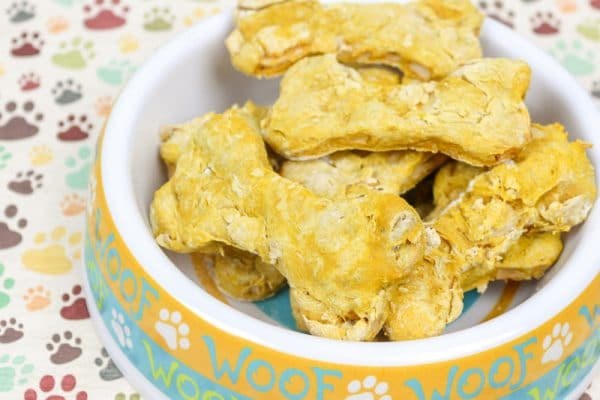 Pumpkin dog treats