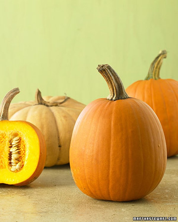 Pumpkin purée 