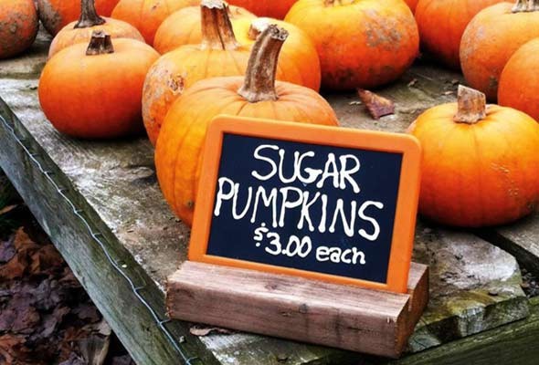 Pumpkin quick bread