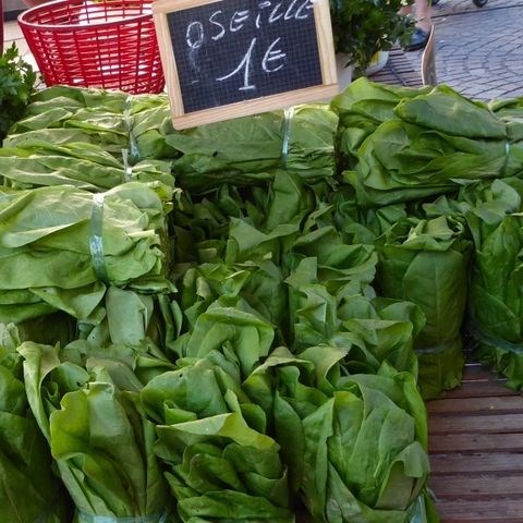 Purée of sorrel (La purée d'oseille)