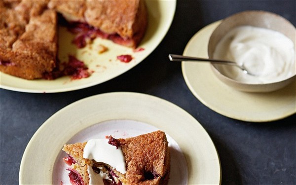 Purple plum torte