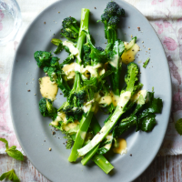 Purple sprouting broccoli with mint Hollandaise
