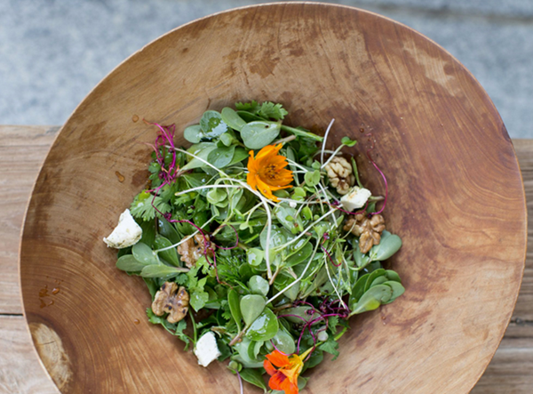 Purslane and herb salad