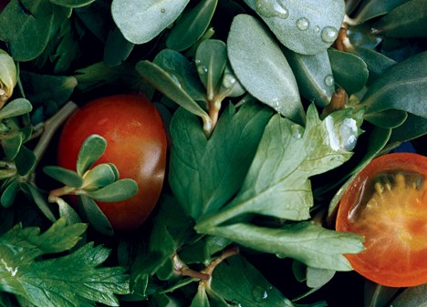 Purslane and parsley salad