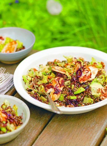 Puy lentil salad with avocado, halloumi & walnuts