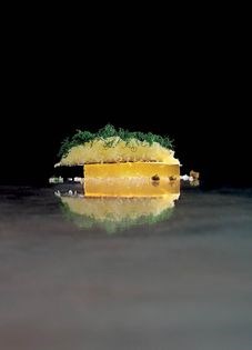 Pyengana cheddar with Japanese plum wine and apple pectin, capers and mitsuba