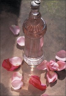Qamsar rose water syrup