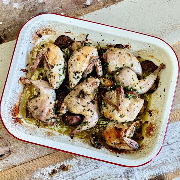 Quail baked with mushrooms & Savoy cabbage (Quaglia al forno con funghi e verza)