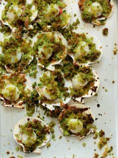 Queenie scallops with a herb crust (Grilled half shell queenie scallops with Lincolnshire Poacher and herb crust)