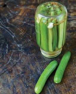 Quick + easy Persian cucumber pickle (Khiar shur)