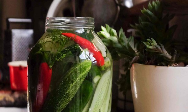 Quick-fermented cucumbers
