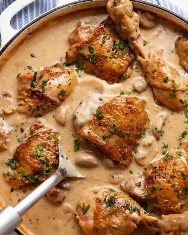 Quick French chicken stew (Chicken fricassée)