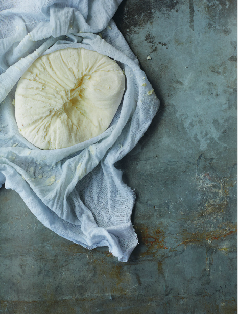 Quick home-made paneer