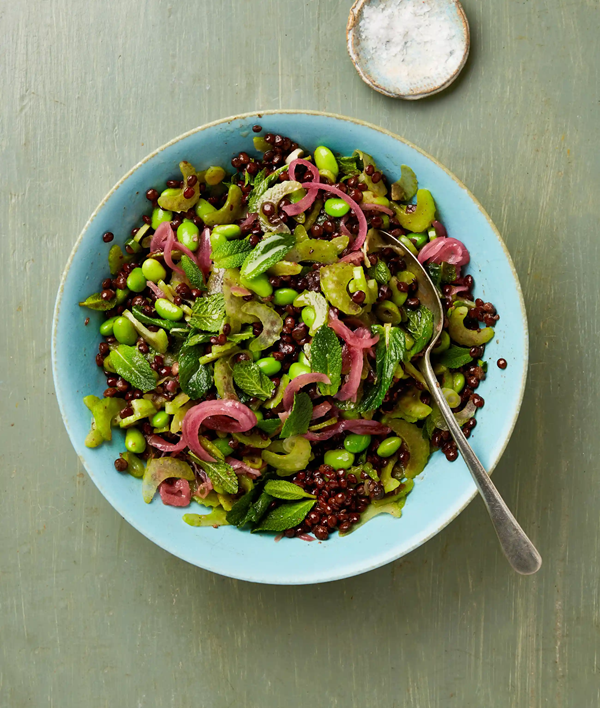 Quick Puy lentil, celery and herb salad