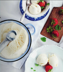 Quick vanilla ice cream