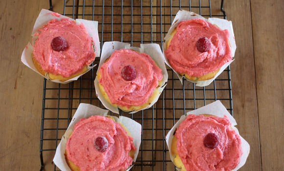 Quince paste cup cakes with raspberry icing