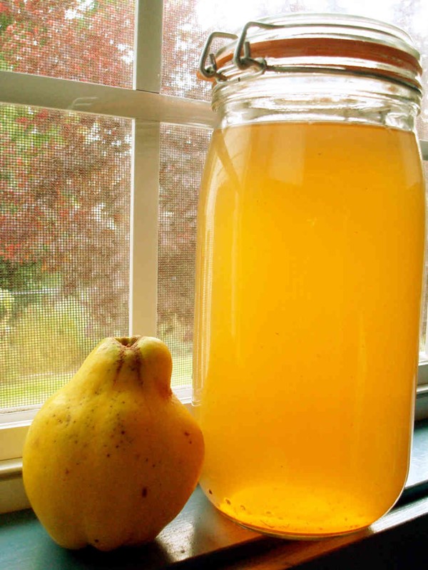 Quince pip tea for a sore throat