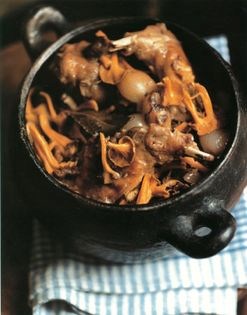 Rabbit casserole with winter chanterelles