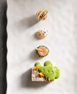 Rabbit terrine with Gewurztraminer, hyssop, and fines herbes coulis
