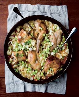 Rabbit with conchiglie