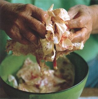 Radicchio salad from Castelfranco (Insalata di Castelfranco)