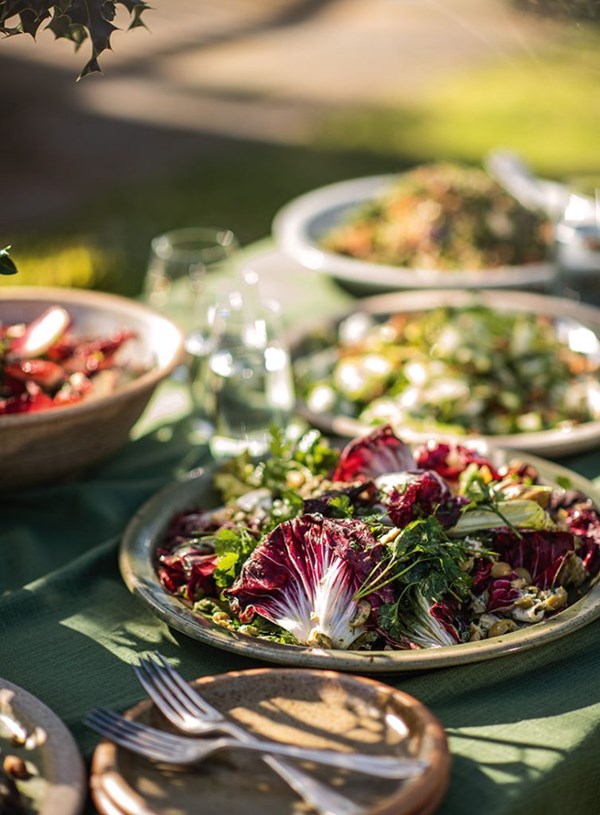 Radicchio with green olive and pecorino Romano dressing