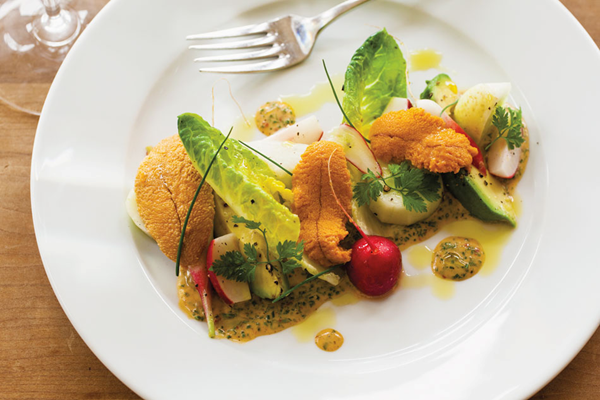 Radish, cucumber & avocado salad with sea urchin ranch dressing