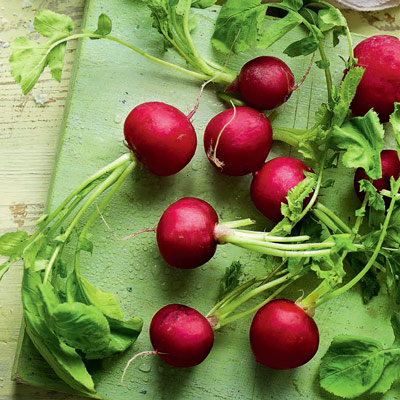 Radish, fennel and yogurt salad