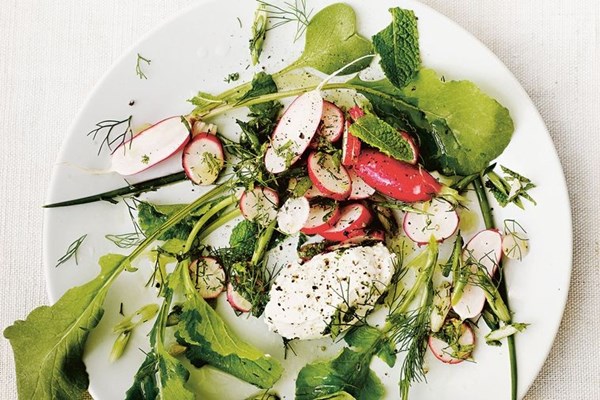 Radish salad with curd