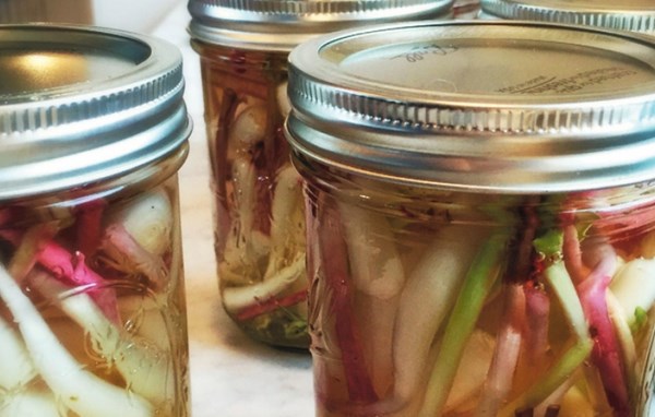 Ramps in white-wine vinegar, French style