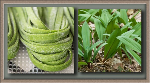 Ramps pasta