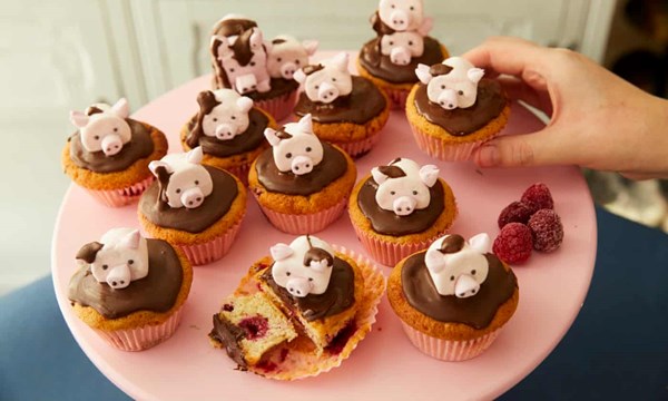 Raspberry and chocolate cupcakes with marshmallow pig topper