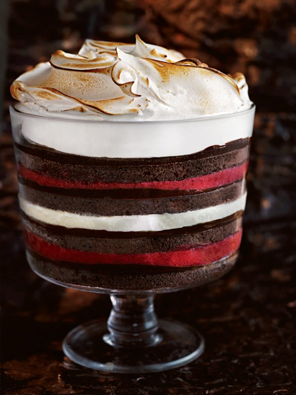 Raspberry and chocolate frozen trifle