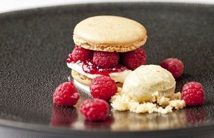 Raspberry and vanilla macaroons with vanilla ice cream