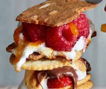 Raspberry apricot s'mores