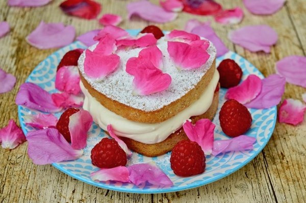 Raspberry cream sponge cake with lemon verbena