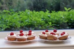 Raspberry cupcakes with mascarpone frosting