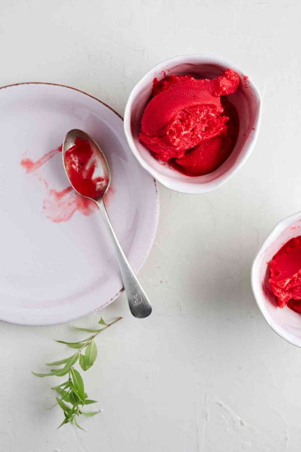 Raspberry lemon verbena sorbet
