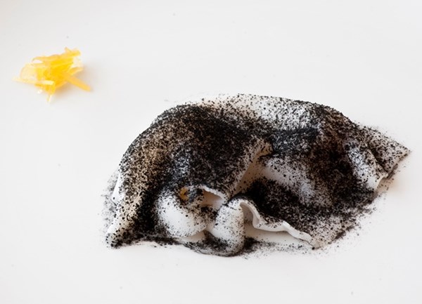 Raw baby cuttlefish, almond and lemon