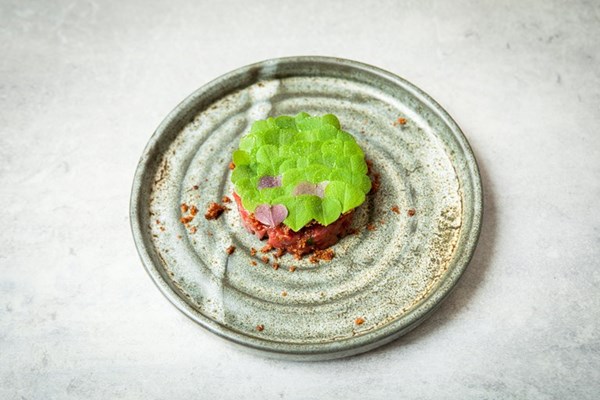  Raw deer with wild garlic and wood sorrel