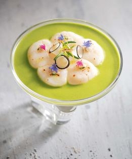 Raw diver scallops with jalapeño coulis, black radish, and grated pecans