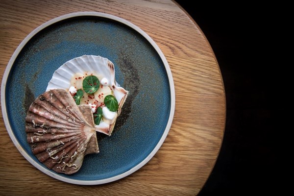 Raw Orkney scallop with green apple, coconut and nasturtium
