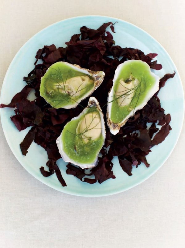 Raw oysters, cucumber jelly and dill cream